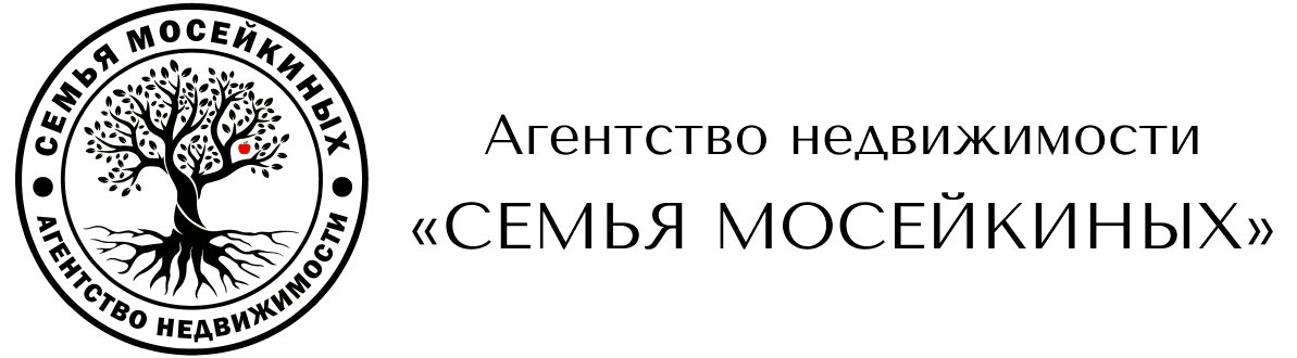 Семья Мосейкиных: Агентство недвижимости